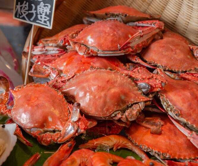 فندق Sheraton Shantou