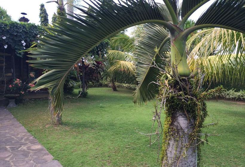 فندق Bona Village Inn