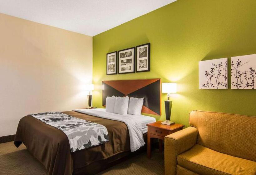酒店 Sleep Inn & Suites Near Fort Greggadams