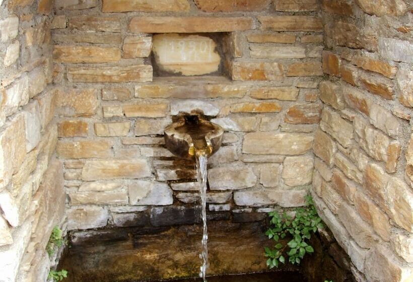 هتل The Lotus Tree