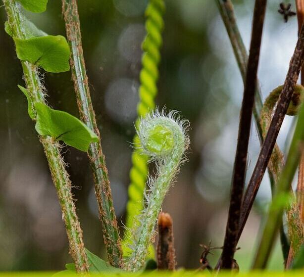 هتل Village Cataratas