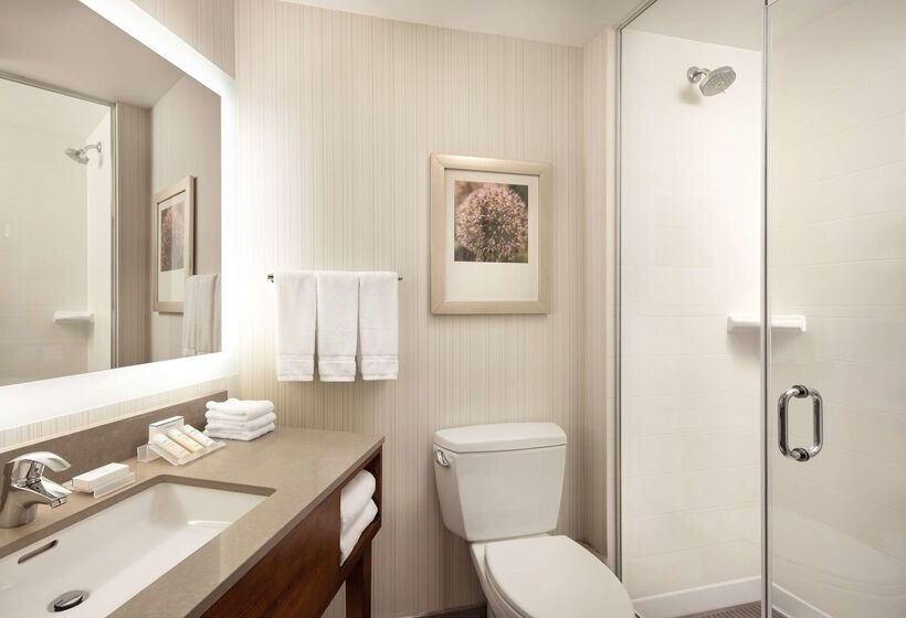 בית מלון כפרי Hilton Garden Inn Long Island City New York