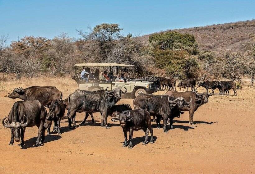 בית מלון כפרי Valamanzi Lodge