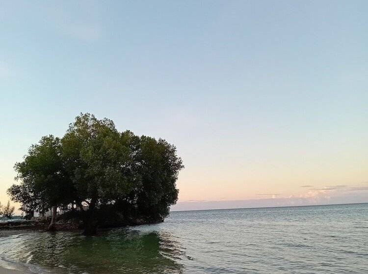 בית מלון כפרי Coconut Tree Village Beach Resort