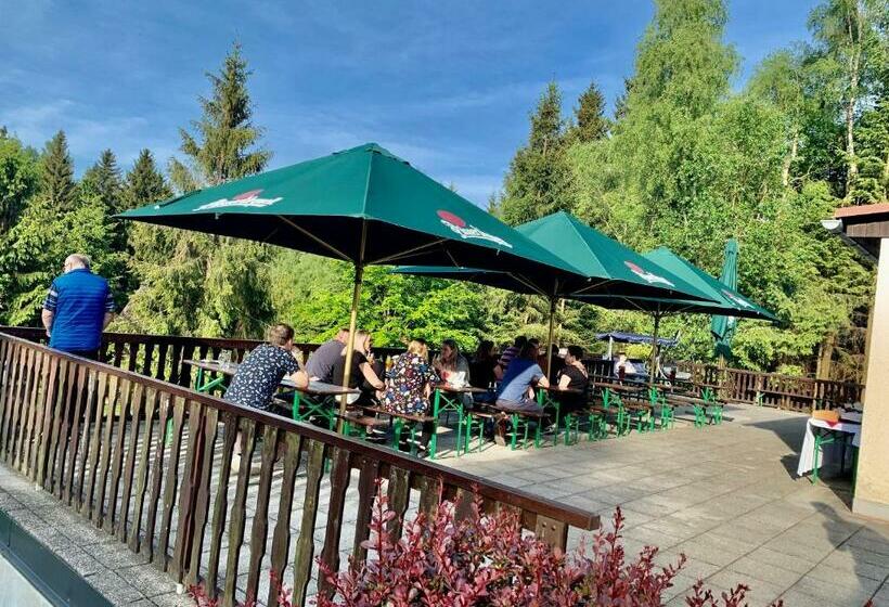 Пансион A Penzion Pegas