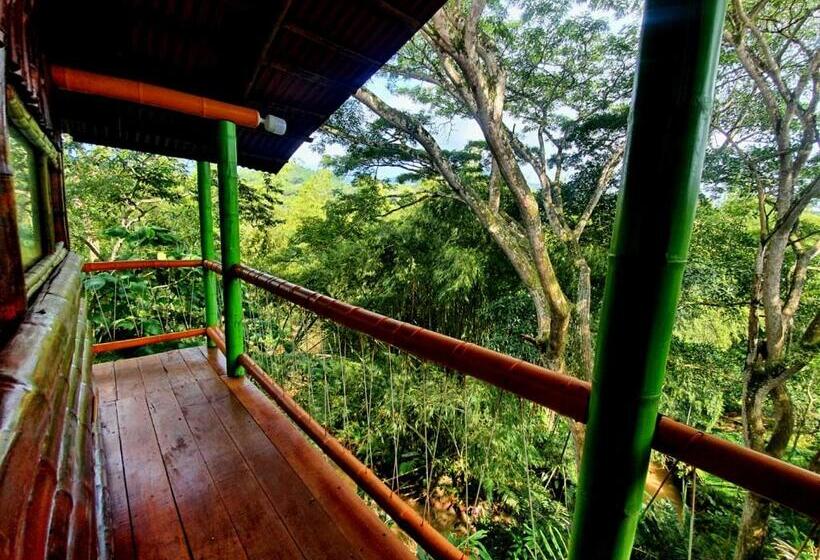 پانسیون Room In Lodge   Family Cabin With River View