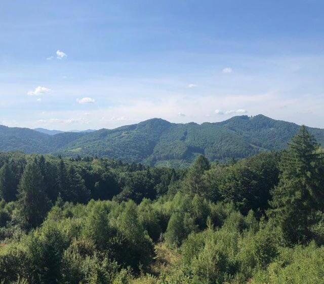 בית מלון כפרי Four Seasons In Carpathians