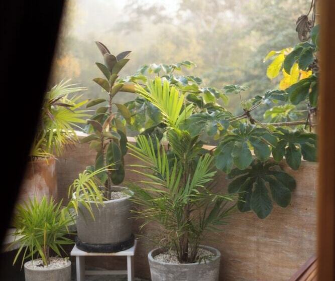 مبيت وإفطار Galopina