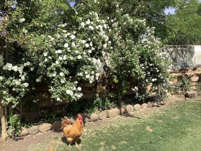 פנסיון Old Mill Inn