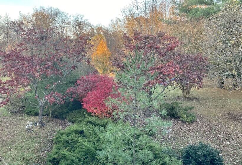 住宿加早餐  Purcellville Home