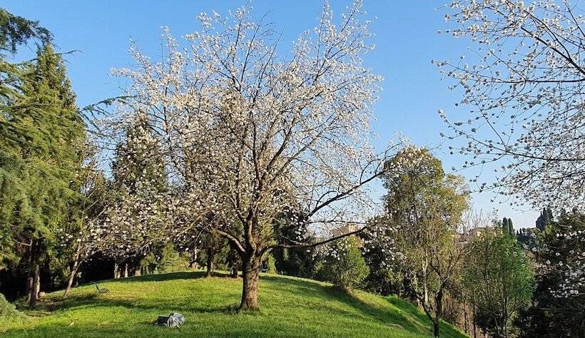 تختخواب و صبحانه Villa Flangini