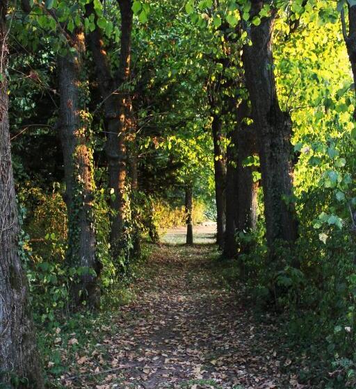 צימר Domaine Des Lilas