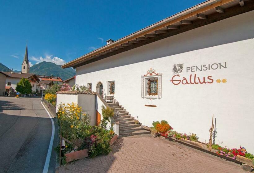 ベッドアンドブレックファースト Pension Gallus