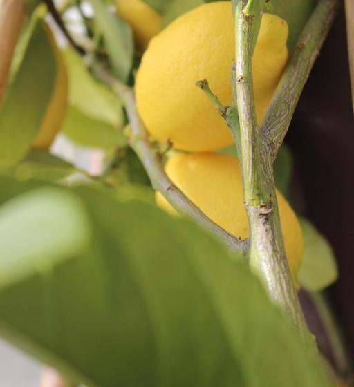 호텔 I Due Ghiri Cinque Terre  Organic Food And Wine