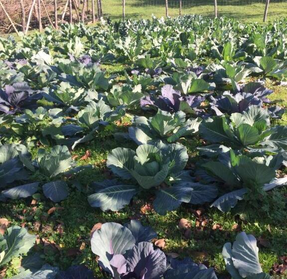 호텔 I Due Ghiri Cinque Terre  Organic Food And Wine