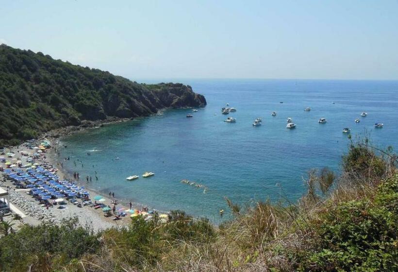 פנסיון Affittacamere Stella Marina