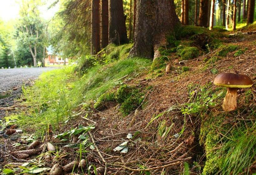 پانسیون Jezírko Lesní Restaurant & Penzion