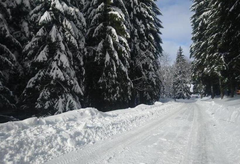 پانسیون Jezírko Lesní Restaurant & Penzion
