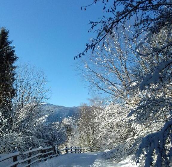 فندق Mair Am Hof