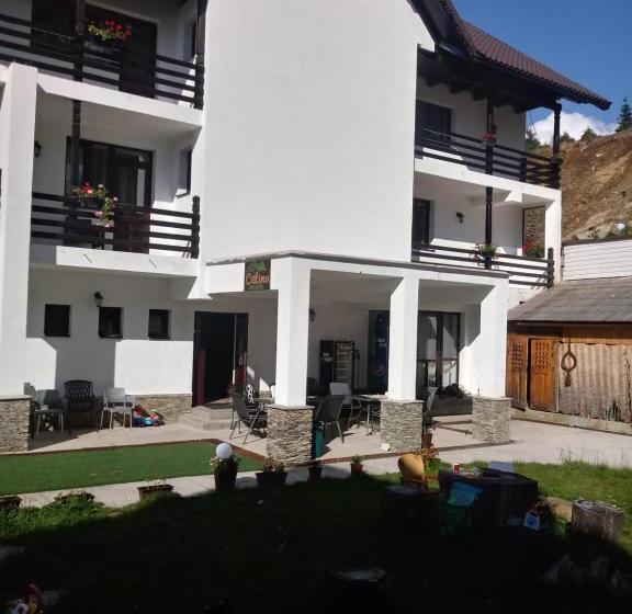 استراحتگاه Cetina