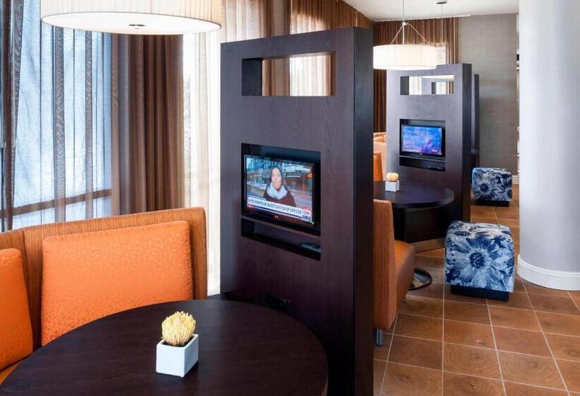 בית מלון כפרי Courtyard By Marriott Houston North/shenandoah