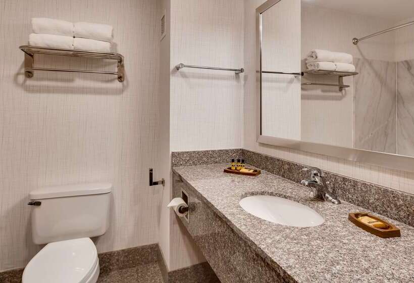 酒店 Best Western Plus Belle Meade Inn & Suites