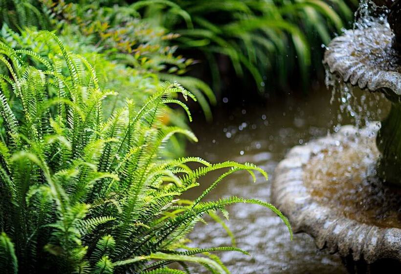 هتل Old Story Inn Dali Ancient Town