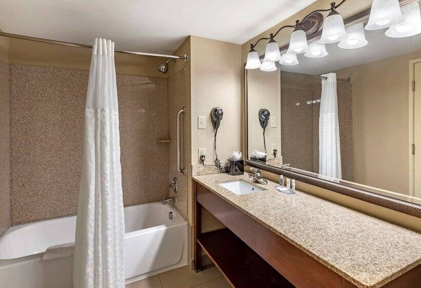 酒店 Comfort Inn & Suites Virginia Beach   Norfolk Airport