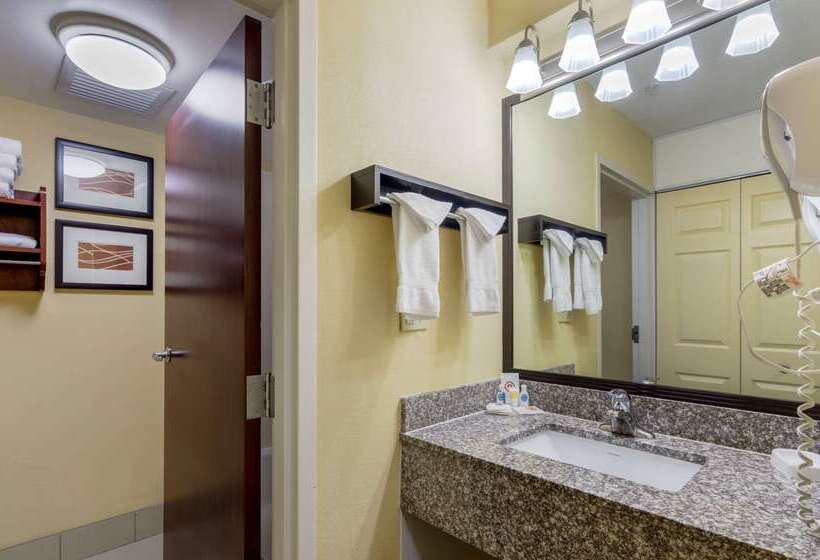 酒店 Comfort Inn & Suites Hillsville I77