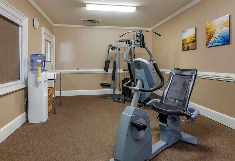 호텔 Comfort Inn & Suites