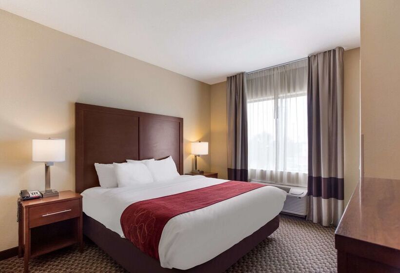 בית מלון כפרי Comfort Suites North Mobile