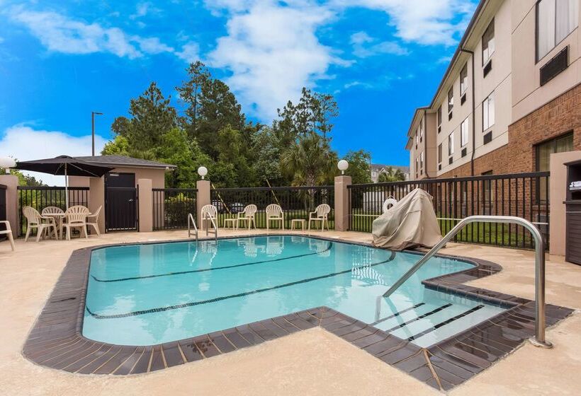 בית מלון כפרי Comfort Suites North Mobile
