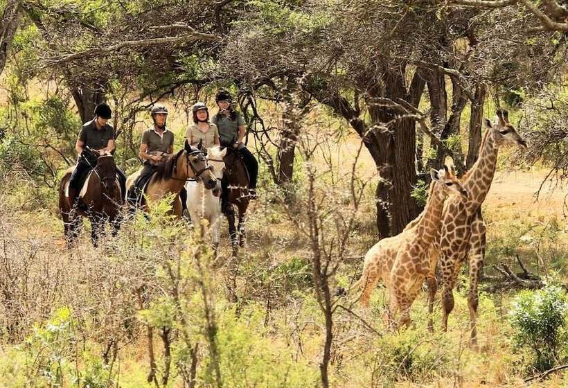 Отель Pakamisa Private Game Reserve
