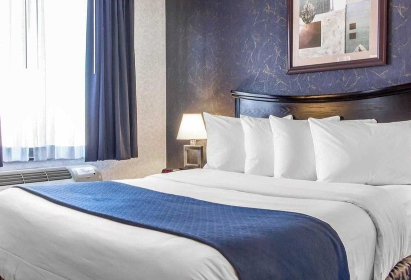 فندق Paramount Inn