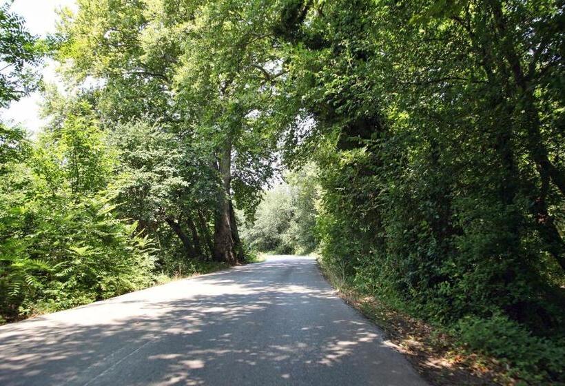 ホテル Thalatta Seaside