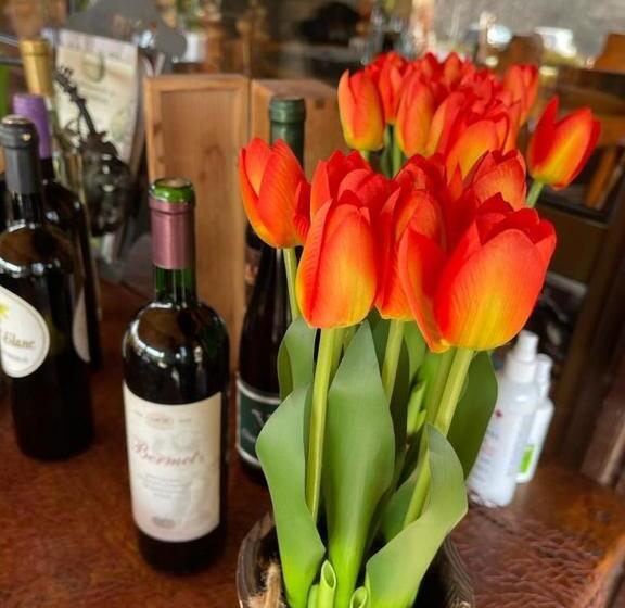 هتل Vila Prezident