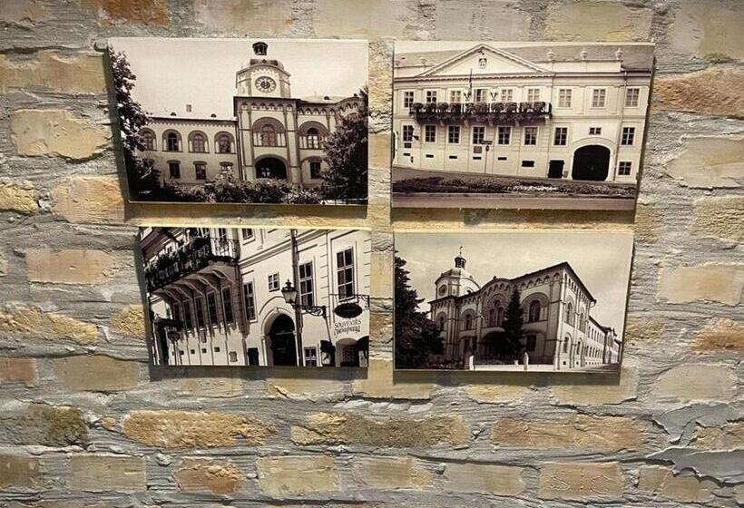 هتل Vila Prezident