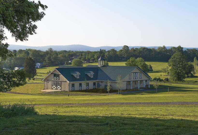 Salamander Resort And Spa