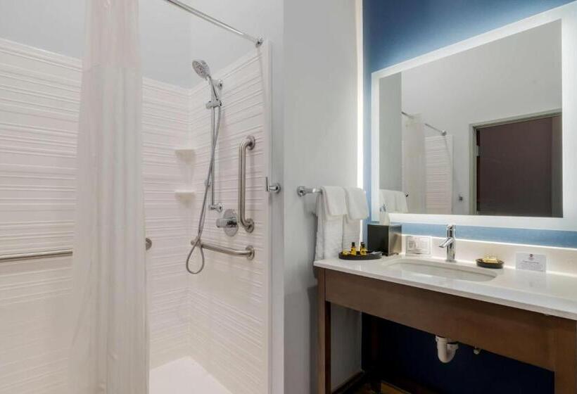 فندق Best Western Plus St. Louis Airport