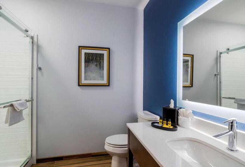 فندق Best Western Plus St. Louis Airport