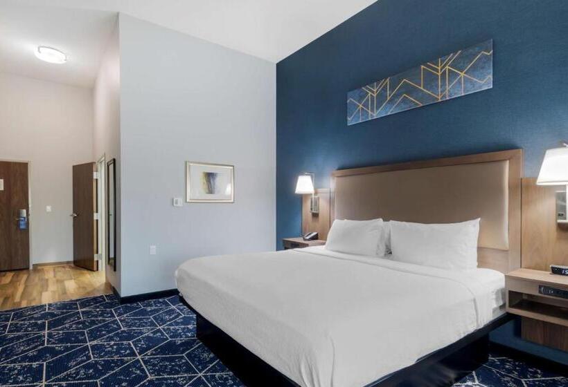 فندق Best Western Plus St. Louis Airport