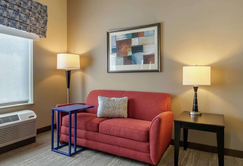 فندق Hampton Inn Alamosa, Co