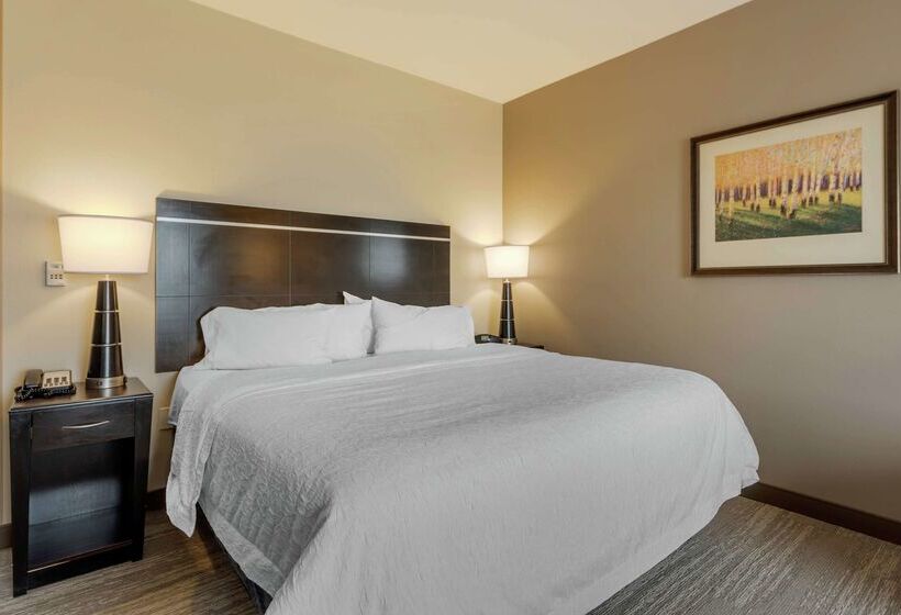 فندق Hampton Inn Alamosa, Co