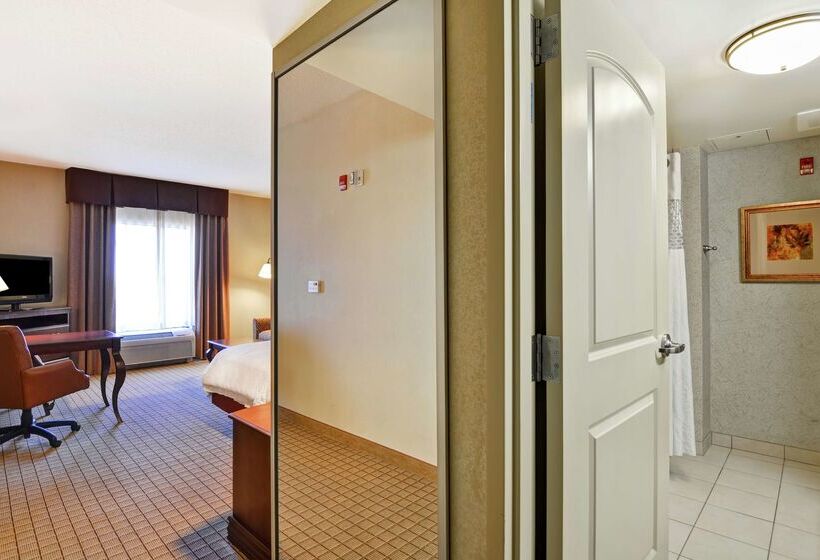 هتل Hampton Inn & Suites Peoria At Grand Prairie, Il