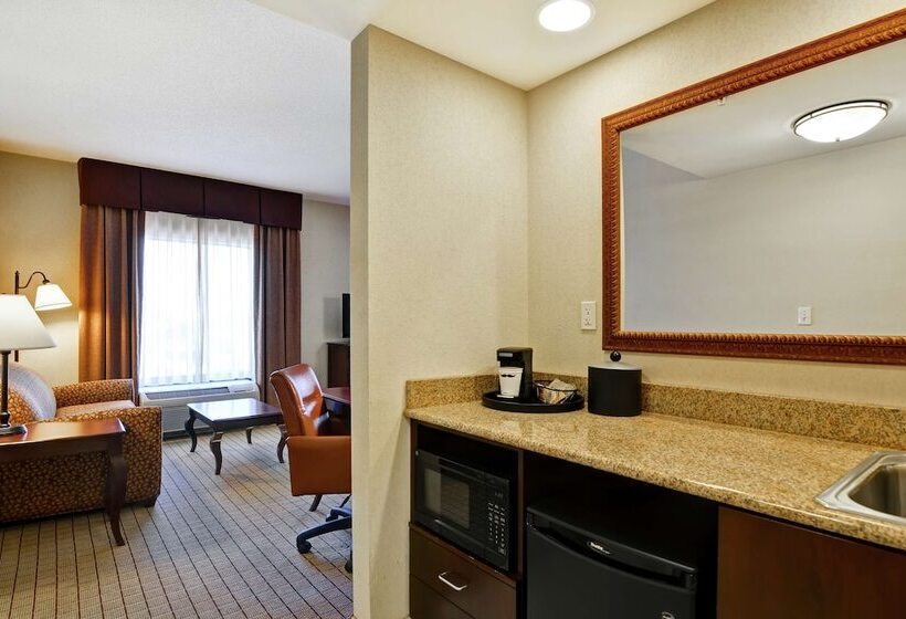 هتل Hampton Inn & Suites Peoria At Grand Prairie, Il
