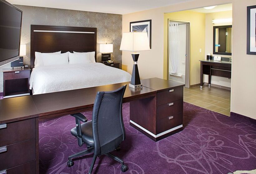 فندق Hampton Inn & Suites Lansing West