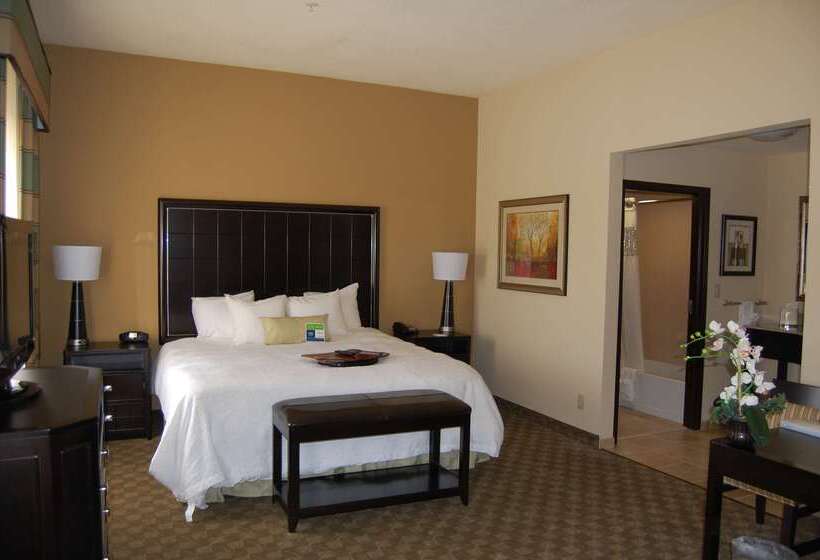 فندق Hampton Inn & Suites Mcalester