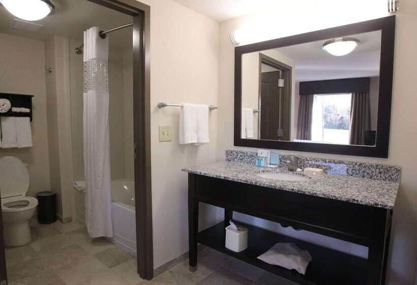 בית מלון כפרי Hampton Inn & Suites Senecaclemson Area