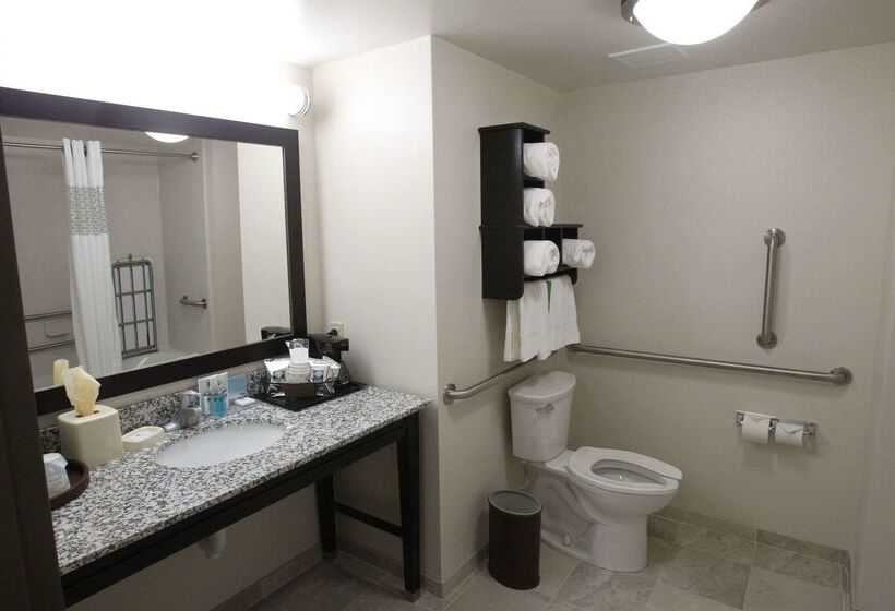 בית מלון כפרי Hampton Inn & Suites Senecaclemson Area