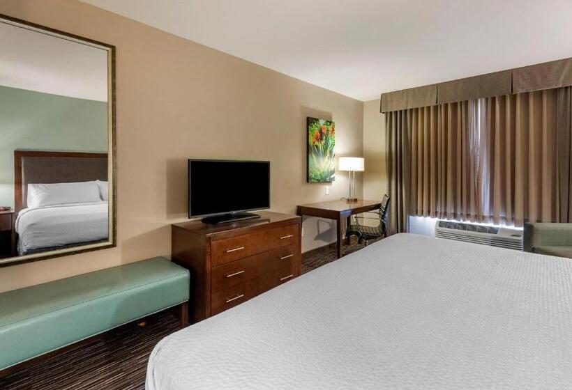 酒店 Holiday Inn Express & Suites Indio   Coachella Valley, An Ihg